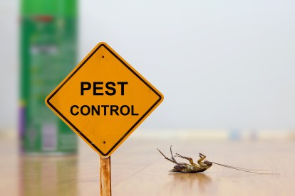 Pest Contol in Ewell, Stoneleigh, KT17. Call Now 020 8166 9746